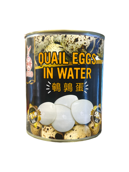 Eaglobe Quail Eggs In Water 850g x 12